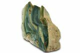 Free-Standing, Gary Green Jasper (Larsonite) Bog Wood - Oregon #334803-3